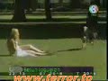 şakacı köpek