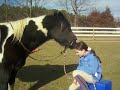 nuzzling horse
