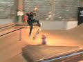 adidas skateboard clas 07