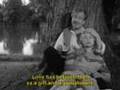  - MovieZen Video