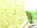 MaTT VS aLeX iN a FIGHT MaTT VS aLeX iN a FIGHT