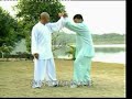 Zhao Bao Taiji - usage in paractical combat (four)????-?????