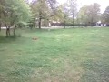 Flux On Nimh