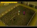 N00b boi210: First Clue scrool (pt 1) {no music}