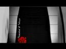 IZATRINI.com 2008 Summer Series Custom Trini T-Shirts