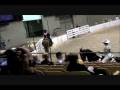 videos de Harvey WI Futurity.wmv