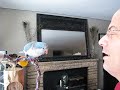 Tycho the Quaker Parrot ... talks and farts...a lot!