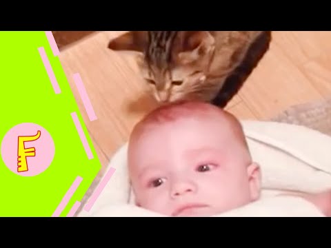 Baby And Cat Fun And Cute #4 - Funny Baby Videos