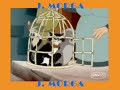 ABBA THE PIPER VIDEO BY J. MORGA ABBA THE PIPER VIDEO BY J. MORGA