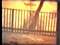 The Bear Head Movie - Godzilla The Bear Head Movie - Godzilla