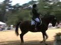 Turnier T�nisberg A Dressur + A K�r