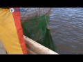 Palingvisser Postma vaart uit ondanks vangstverbod