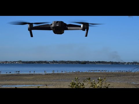 <p>When and how to conduct drone-based bird surveys</p>
 video thumbnail