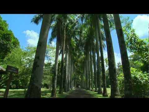 Image de prévisualisation YouTube