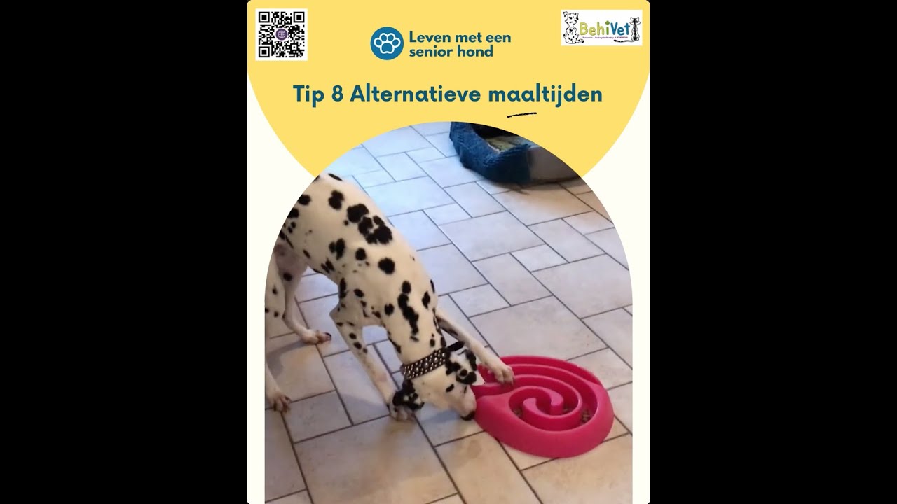 TIP 8 – Alternatieve maaltijden voor cognitieve verrijking
