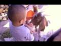 videos de morelos