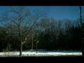 One Day Out My Window