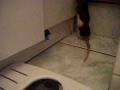 videos de Nirty grimpe au peignoir
