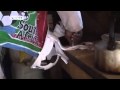 View Video