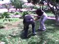 Taisa VS Moita