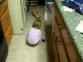 videos de Kaelyn R. talking into cardboard tube.