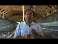 Using nanoparticles to develop healthier chickens Using nanoparticles to develop healthier chickens