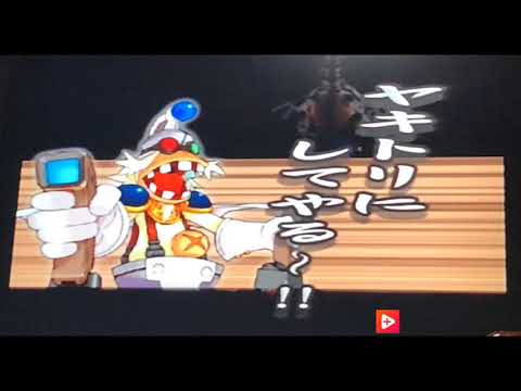 動画