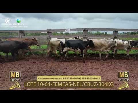 526� LEIL�O VIRTUAL MB LEIL�ES