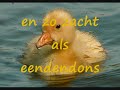Iets van alle dieren