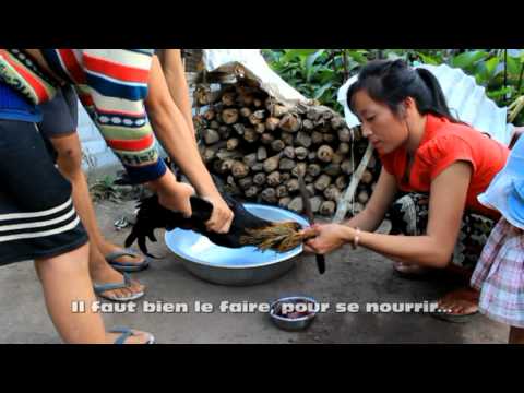Image de prévisualisation YouTube