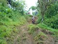 Honda CRF 450X