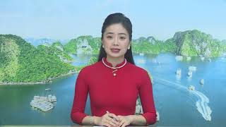 Truyền hình Hạ Long ngày 11/7/2022