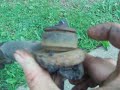 how to replace sway bar and linkage how to replace sway bar and linkage