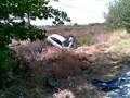videos de Accidente Guadalcacín