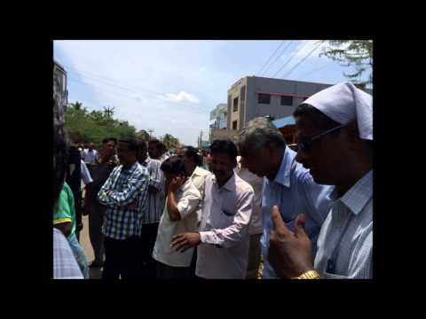 how to transplant advanced trees