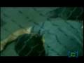 videos de elgranrobo_3.avi