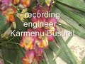 Sine Macula Choir Safi,Tony Pace,Karmenu Busuttil