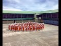 CPDRC - Sinulog Presentation