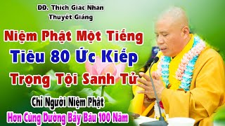 Niệm Phật Một Tiếng Tiêu 80 Ức Kiếp Trọng Tội Sanh Tử - Thầy Giác Nhàn Giảng 03/03/2024