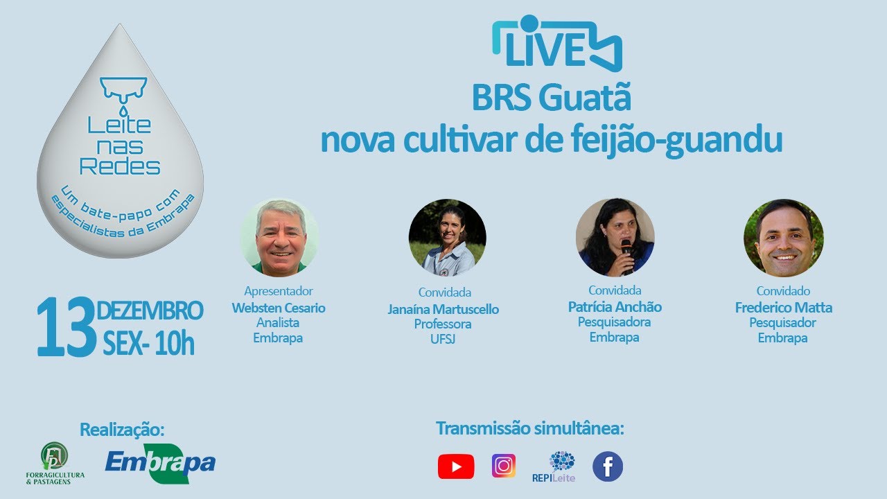 BRS Guatã: nova cultivar de feijão-guandu