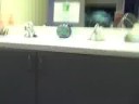 Braces By Bergh Office Tour