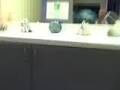 Braces By Bergh Office Tour