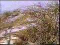 Burco 1994 part 2