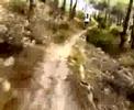 Freeride a Is Molas Freeride a Is Molas