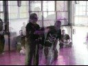 Pitbull Brotherhood of the Blade gathering with Tuhon Leo Gaje in Rochester NY 2008.