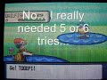 Howto 1: Get a Qwilfish