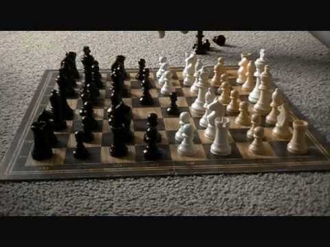 chess knight