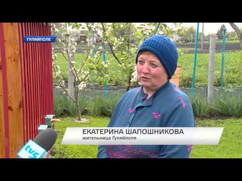 Житель Гуляйполя сам зробив спеціальний міні-будиночок для бджіл (відео) Житель Гуляйполя сам зробив спеціальний міні-будиночок для бджіл (відео)