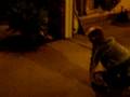 videos de Caleb chasing Matt