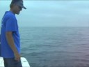 Shark Ninja Shark Ninja
